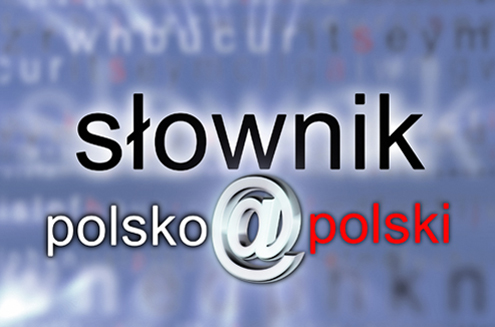 Nagranie do programu „Słownik polsko@polski”